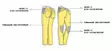 PMJ Ajofarkut Victoria Sininen, 38 - Duell ajovarusteet - 52190 - 1