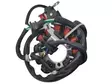 TMV staattori Honda CRF250R 2020-2021 - Duell MP varaosat ja tarvikkeet - 138720 - 1