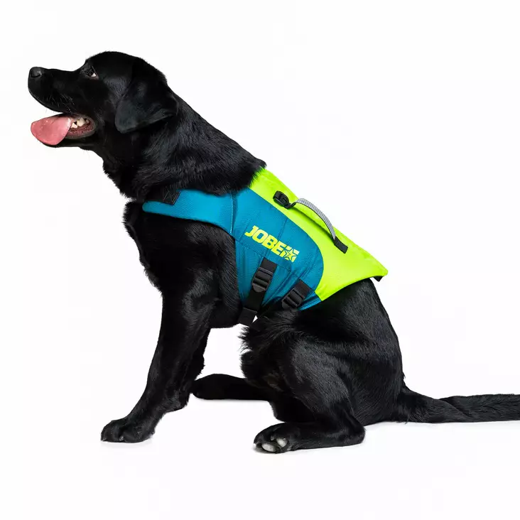 JOBE Pet koiran kelluntaliivi lime/teal L - Duell venetarvikkeet - 133561 - 1