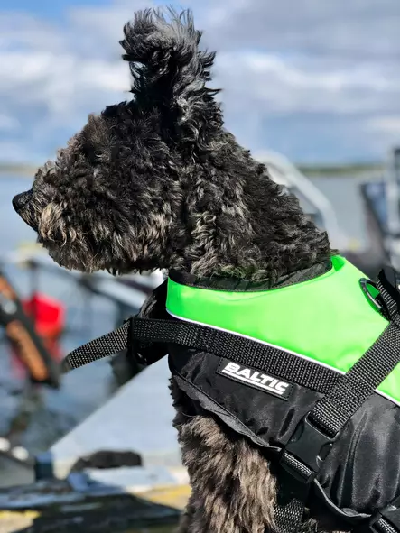 Baltic Mascot koiran kelluntaliivi vihreä/musta 2XL 40++kg - Duell venetarvikkeet - 135401 - 1