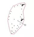 DFK Vasen Ovensaranat ja kiinnityssarja Yamaha YXZ 1000 - Duell ATV varaosat ja tarvikkeet - 30001 - 1