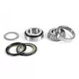 ProX Steering Bearing Kit ATC200X '83-87 - Duell MP varaosat ja tarvikkeet - 81143 - 1