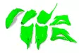 UFO Muovisarja 5-osainen Flou green KX85 14-21 - Duell MP varaosat ja tarvikkeet - 48083 - 1