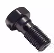 Banjopultti M10 x 1.00. Brembo. Titaani. - Duell MP varaosat ja tarvikkeet - 88464 - 1