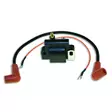 Cdi Elec. Johnson Evinrude Ignition Coil - Duell venetarvikkeet - 137774 - 1