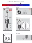 Champion Sytytystulppa 8698 Powersport - Duell muut varaosat ja tarvikkeet - 131894 - 1