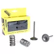 ProX Steel Intake Valve/Spring Kit CRF450R '02-08 - Duell MP varaosat ja tarvikkeet - 82084 - 1