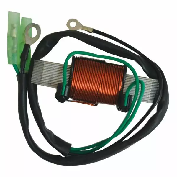Cdi Elec. Lighting Coil Yamaha Enduro 2Cyl. - Duell venetarvikkeet - 137625 - 1