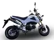 GPR Honda Msx - Grom 125 2013/17 EC-Approv. full line exhaust catalized Deepton - Duell MP varaosat ja tarvikkeet - 110506 - 1