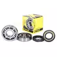 ProX Crankshaft Bearing & Seal Kit YZ465 '80-81+YZ490 '82-90 - Duell MP varaosat ja tarvikkeet - 81366 - 1