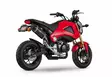 Yoshimura Slip-On Honda Grom 2014-15 Signature Rs-9 So Ss-Cf-Cf - Duell MP varaosat ja tarvikkeet - 113286 - 1