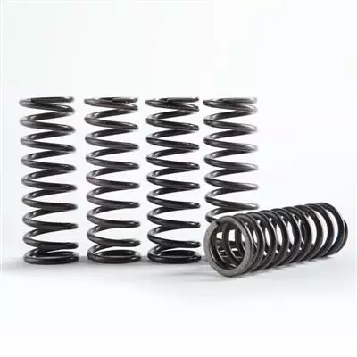 Hinson Clutch Springs YZ250F 14-18 YZ250FX/WR250F 15- - Duell MP varaosat ja tarvikkeet - 73927 - 1