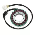 Electrosport Staattori Honda CBR900RR 00-01 - Duell MP varaosat ja tarvikkeet - 138377 - 1