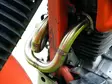 GPR Honda Dominator Nx 650 1988/01 Decat pipe manifold Collettore - Duell MP varaosat ja tarvikkeet - 110727 - 1