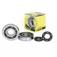 ProX Crankshaft Bearing & Seal Kit KX250 '02 - Duell MP varaosat ja tarvikkeet - 81377 - 1