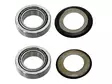Sixty5 steering bear kit 30x51x15 2pcs - Duell MP varaosat ja tarvikkeet - 87237 - 1