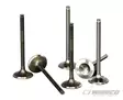 Wiseco Intake Valve Steel YFM700 Raptor '06-21 + Grizz/Rhino - Duell MP varaosat ja tarvikkeet - 84397 - 1