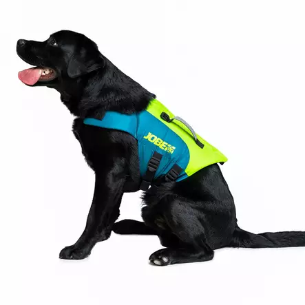 JOBE Pet koiran kelluntaliivi lime/teal XS - Duell venetarvikkeet - 133828 - 1