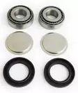 EPI Rear Swing Arm Repair Kit - Duell ATV varaosat ja tarvikkeet - 26328 - 1