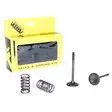 ProX Steel Exhaust Valve/Spring Kit YZ/WR450F '03-09 - Duell MP varaosat ja tarvikkeet - 81248 - 1