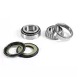 ProX Steering Bearing Kit YZ125 87-95 + TTR250 '99-06 - Duell MP varaosat ja tarvikkeet - 81488 - 1
