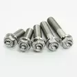 Scar 1 x Titanium HEX HEAD FLANGE BOLT M8 x 20 - titanium Gr5-Ti - Duell MP varaosat ja tarvikkeet - 75018 - 1