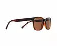 Spect Red Bull Eliot Sunglasses Shiny Havana w Brown lens - Duell ajovarusteet - 45428 - 1