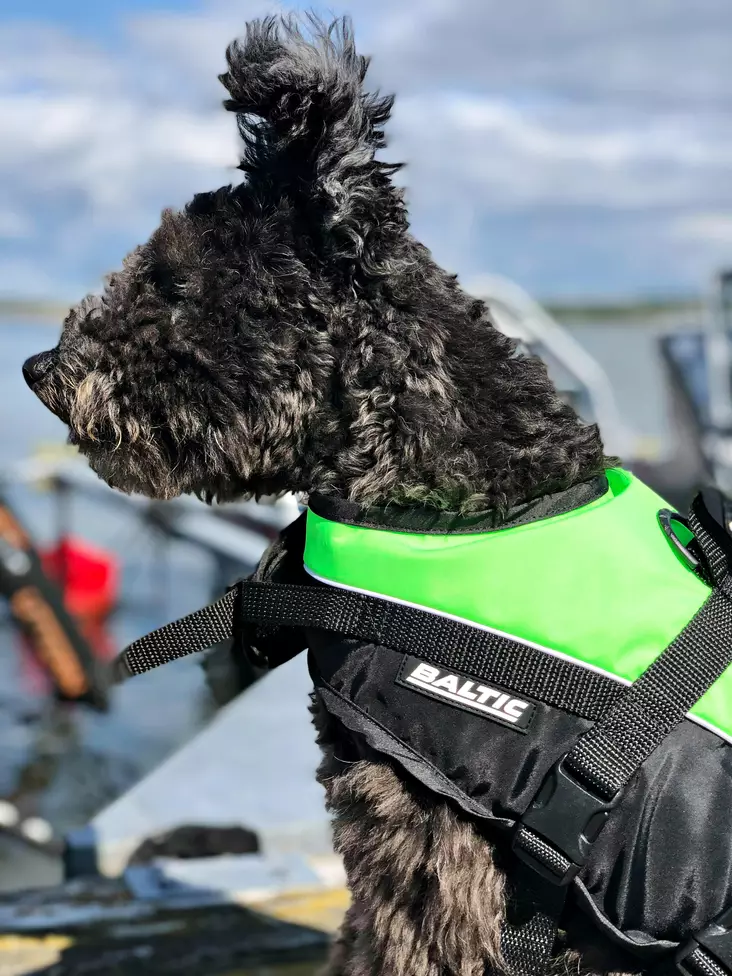 Baltic Mascot koiran kelluntaliivi vihreä/musta M 8-15kg - Duell venetarvikkeet - 135469 - 1