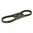 Forte Variaattorihihna 788 x 17 Kiina-skootterit 12" - 13" / Solifer 06- - Duell mopojen varaosat ja tarvikkeet - 114639 - 1