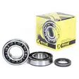 ProX Crankshaft Bearing & Seal Kit RM-Z250 '07-09 - Duell MP varaosat ja tarvikkeet - 81609 - 1