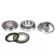 ProX Steering Bearing Kit 1000 Daytona '91-92 - Duell MP varaosat ja tarvikkeet - 81179 - 1