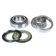 ProX Steering Bearing Kit 900 S/Sport S/Light '91-97 - Duell MP varaosat ja tarvikkeet - 81709 - 1