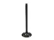 Psychic SS pakoventtiili CRF250R 04-07 - Duell MP varaosat ja tarvikkeet - 86849 - 1