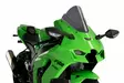 Puig Z-Racing Screen Kawasaki Zx-10R/Rr 21' C/Dark Smok - Duell MP varaosat ja tarvikkeet - 98729 - 1